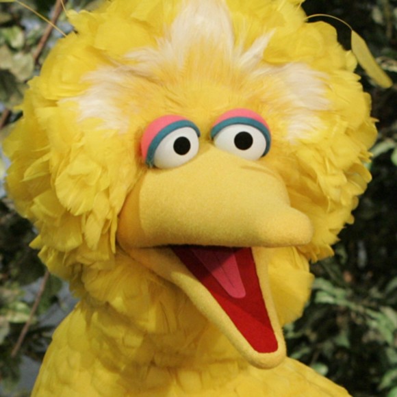 Meet your Posher, Corlette - Picture 1 of 1